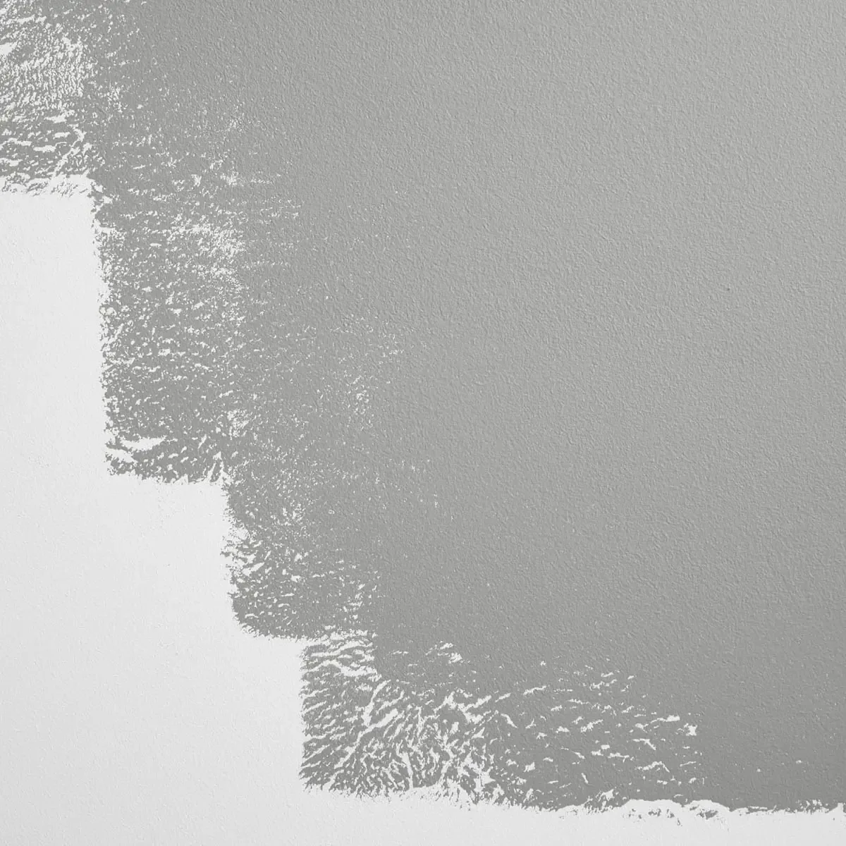 Schumacher Off The Record paint swatch – cool, clean gray