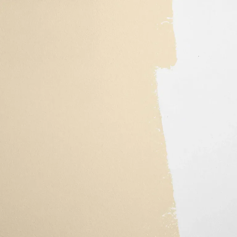 Schumacher Palo Santo paint swatch – earthy yellow-beige