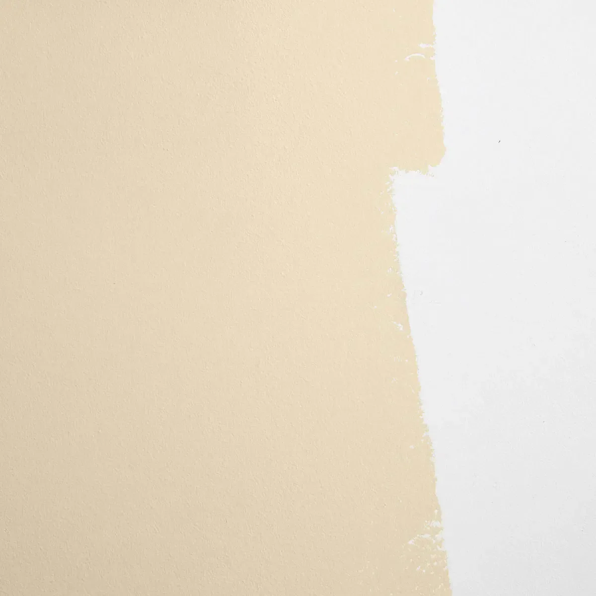 Schumacher Palo Santo paint swatch – earthy yellow-beige