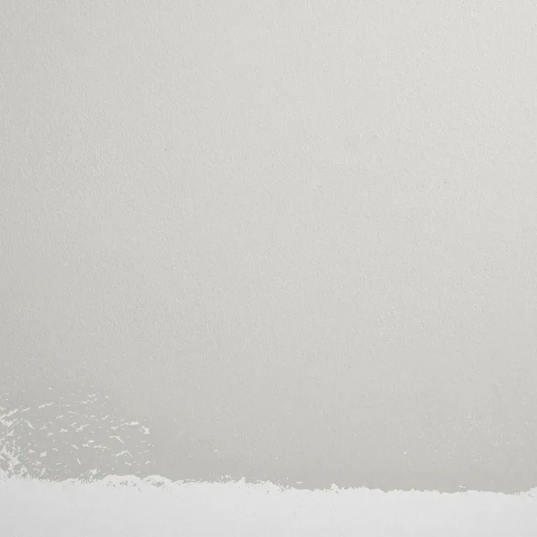 Schumacher Ritual Unions paint swatch – neutral, light gray