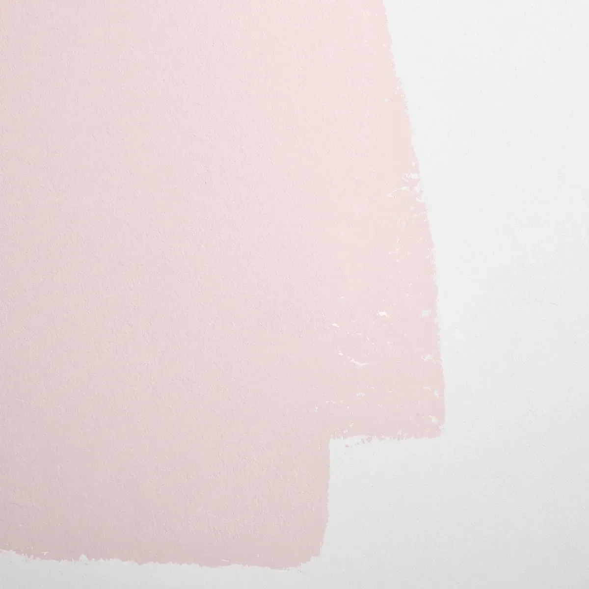 Schumacher Rose Quartz paint swatch – warm pink with gray