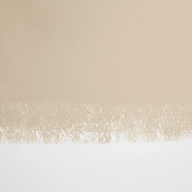 Schumacher Ryokan Guesthouse paint swatch – neutral beige