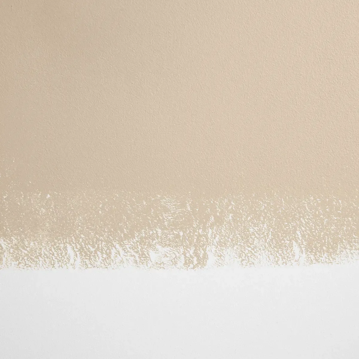 Schumacher Ryokan Guesthouse paint swatch – neutral beige