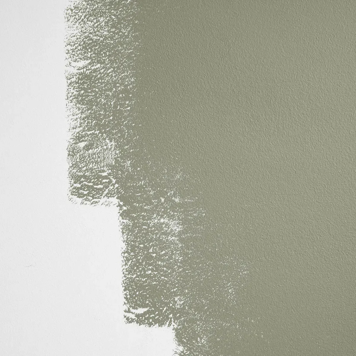 Schumacher Saged paint swatch – muted olive green