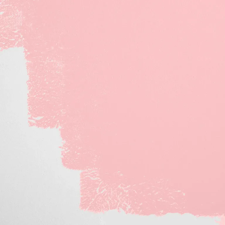 Schumacher Shy Boys paint swatch – a true pink