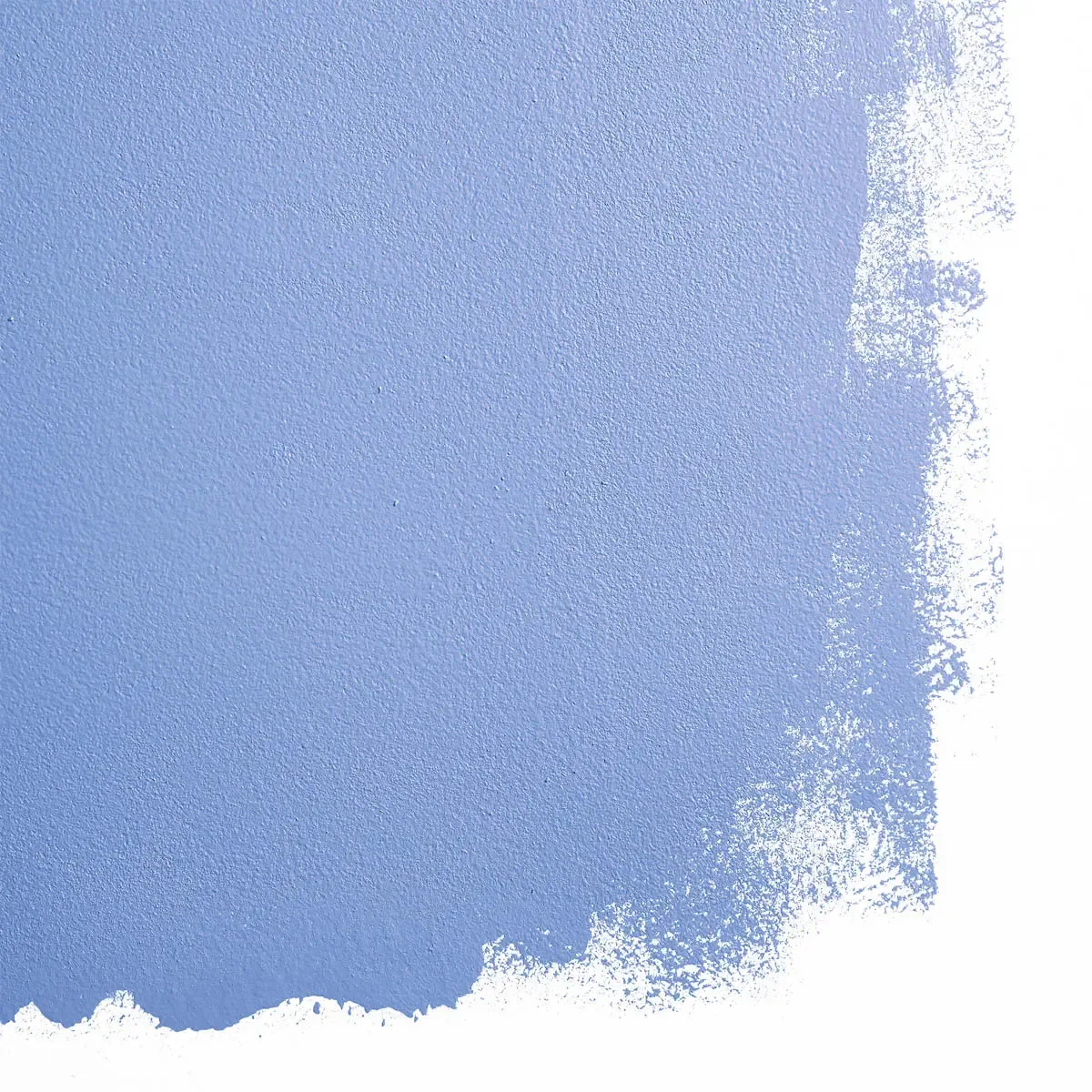 Schumacher Stromboli Chess Club paint swatch – vibrant cornflower blue