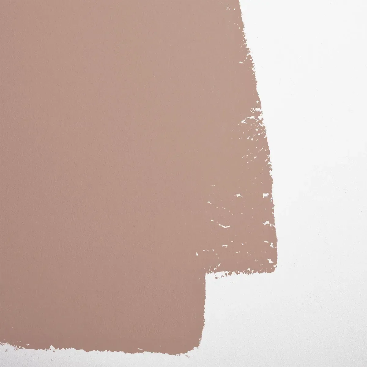 Schumacher Studio Hours paint swatch – warm taupe