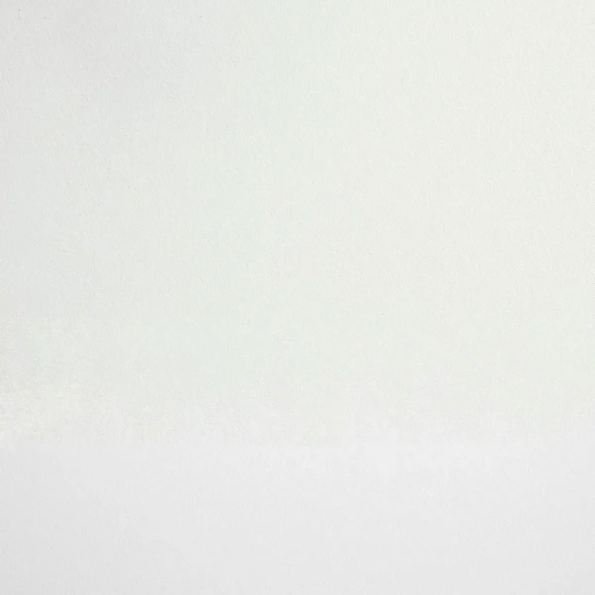 Schumacher Supermoon paint swatch – pure white