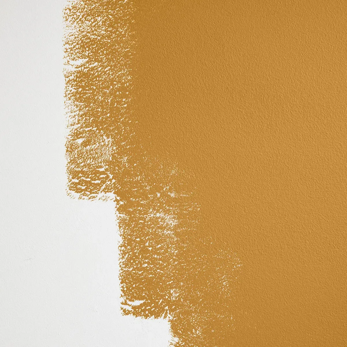 Schumacher Tanlines paint swatch – dark, strong yellow