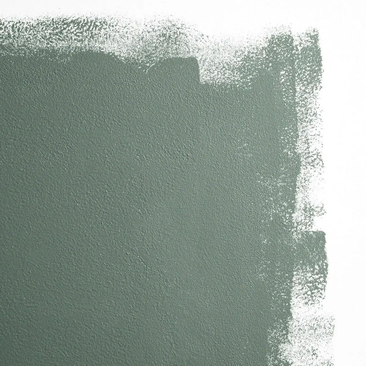 Schumacher Weekend Upstate paint swatch – dark green with a hint of blue