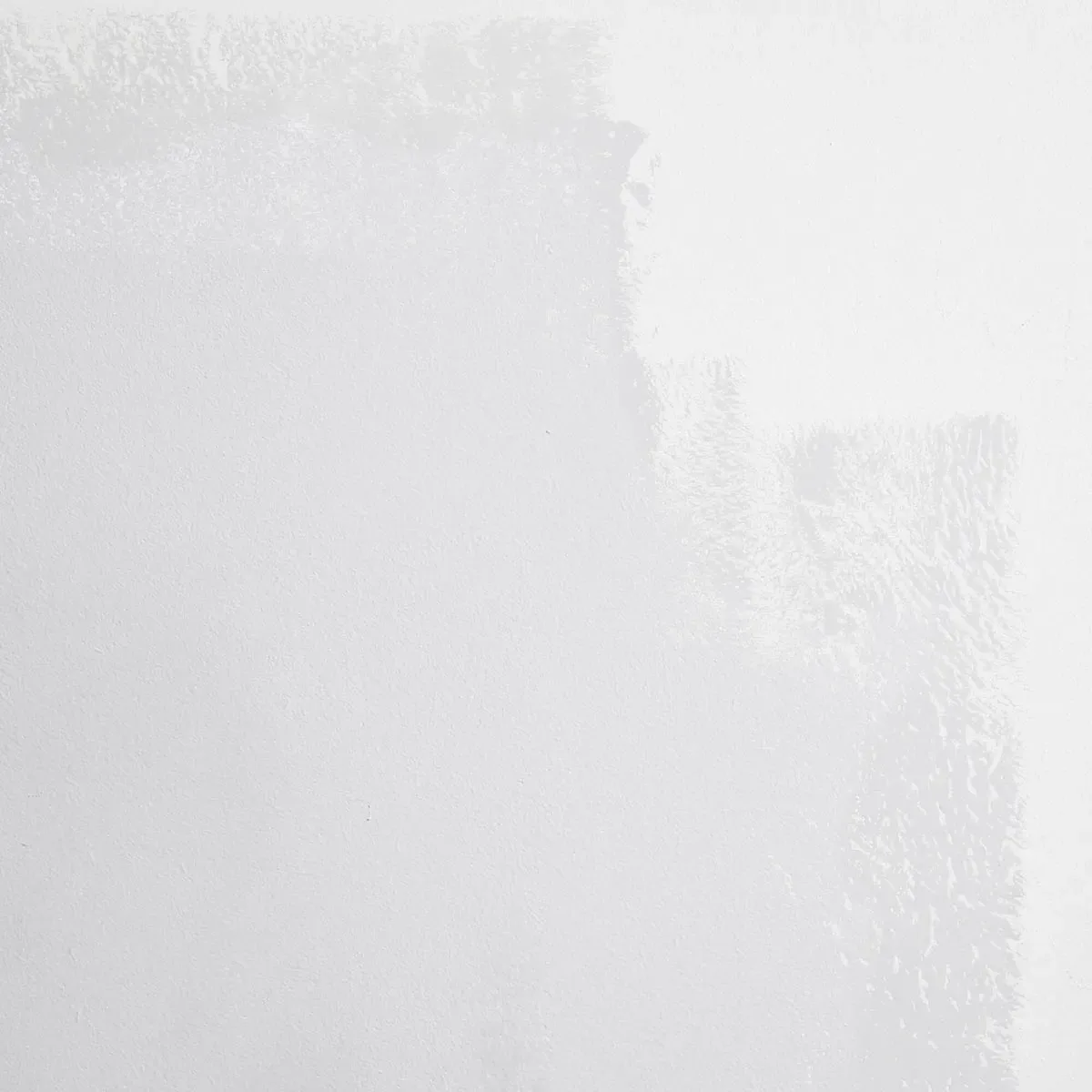 Schumacher West Coast Ghost paint swatch – super light gray with blue undertones