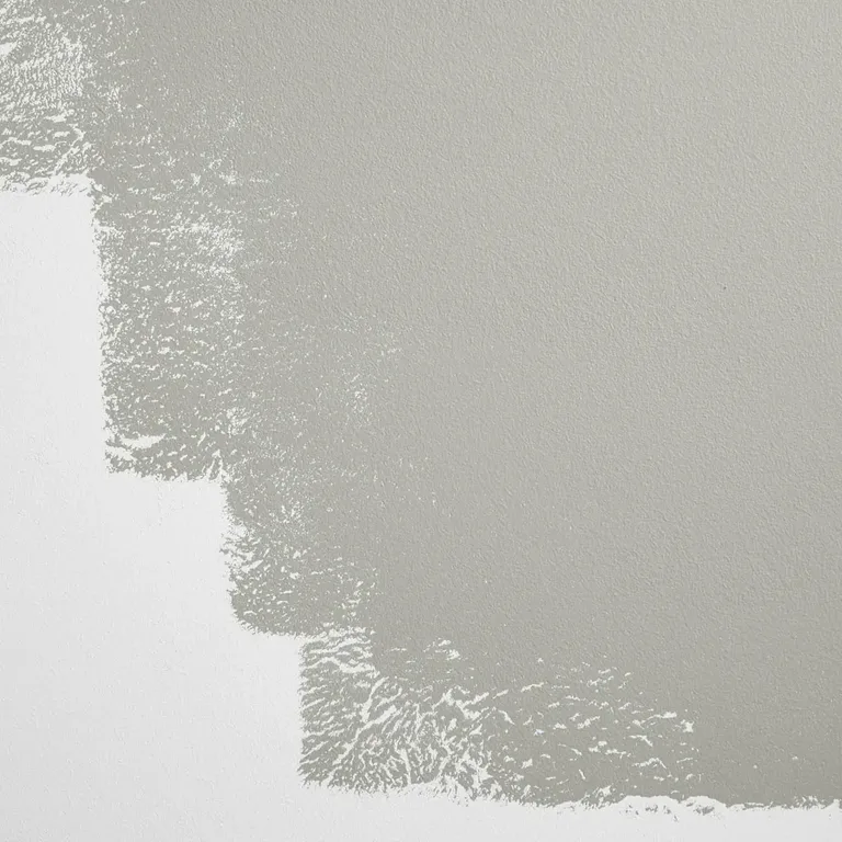 Schumacher Westside Local paint swatch – pure, neutral gray