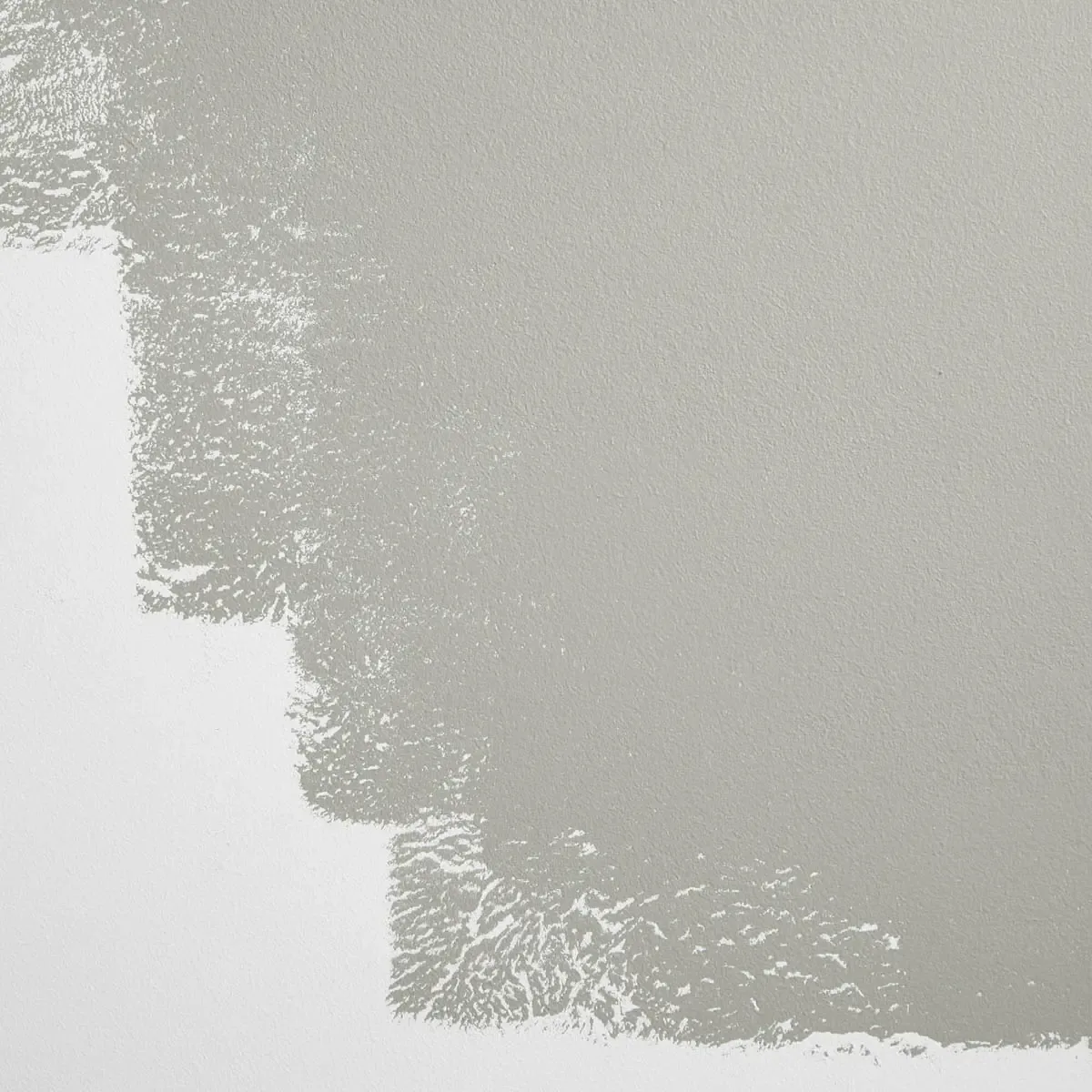 Schumacher Westside Local paint swatch – pure, neutral gray