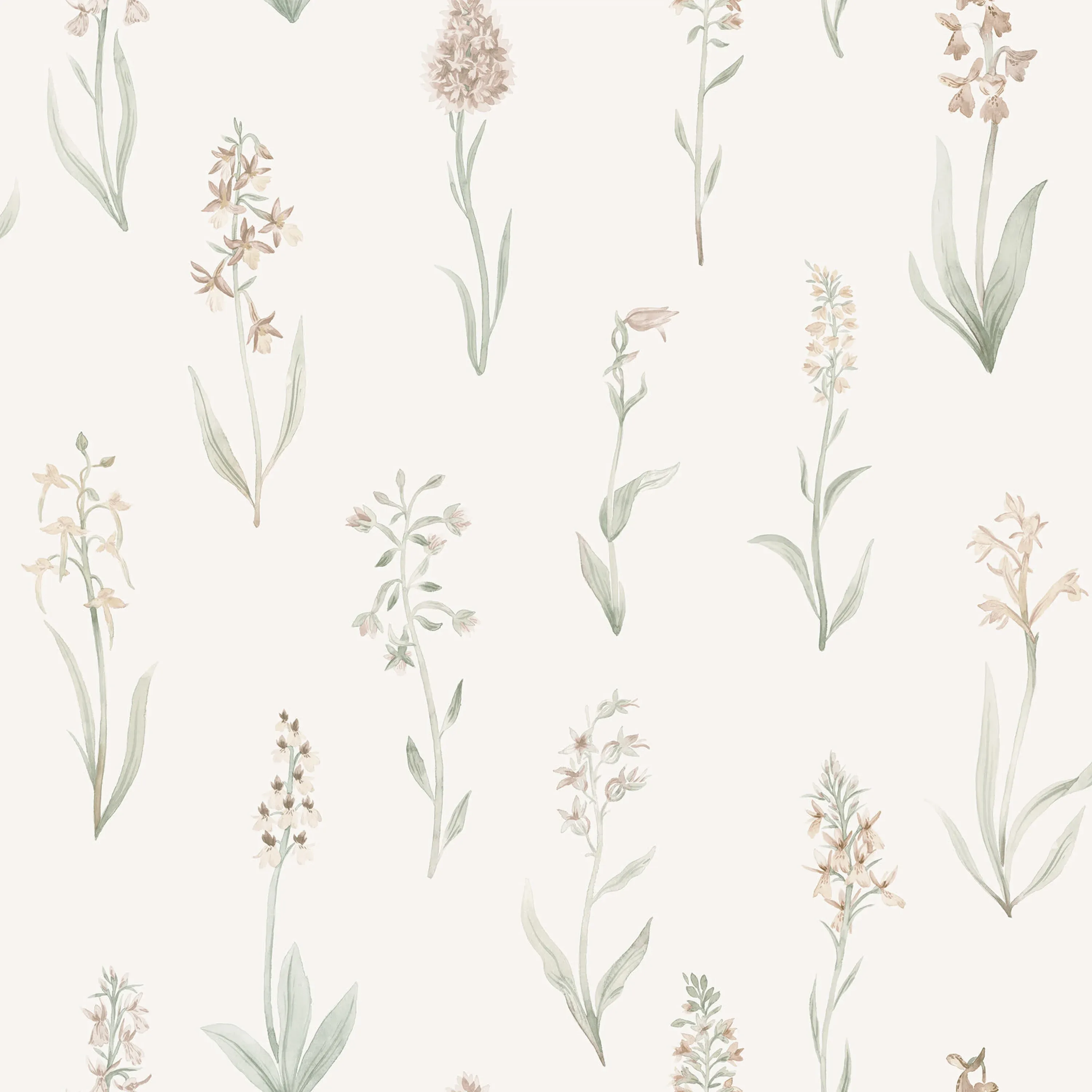 Sandberg Alma in Blush wallpaper (S10334)