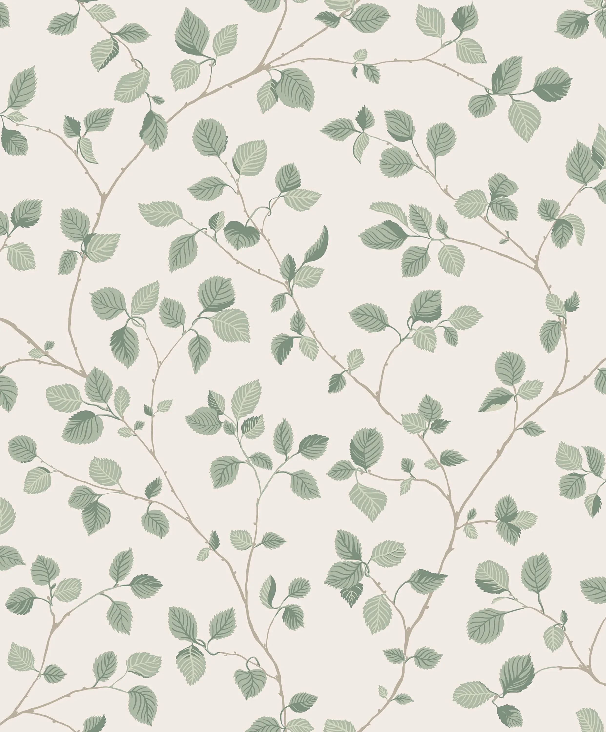 Sandberg Bokskog in Garden Green wallpaper (S10322)