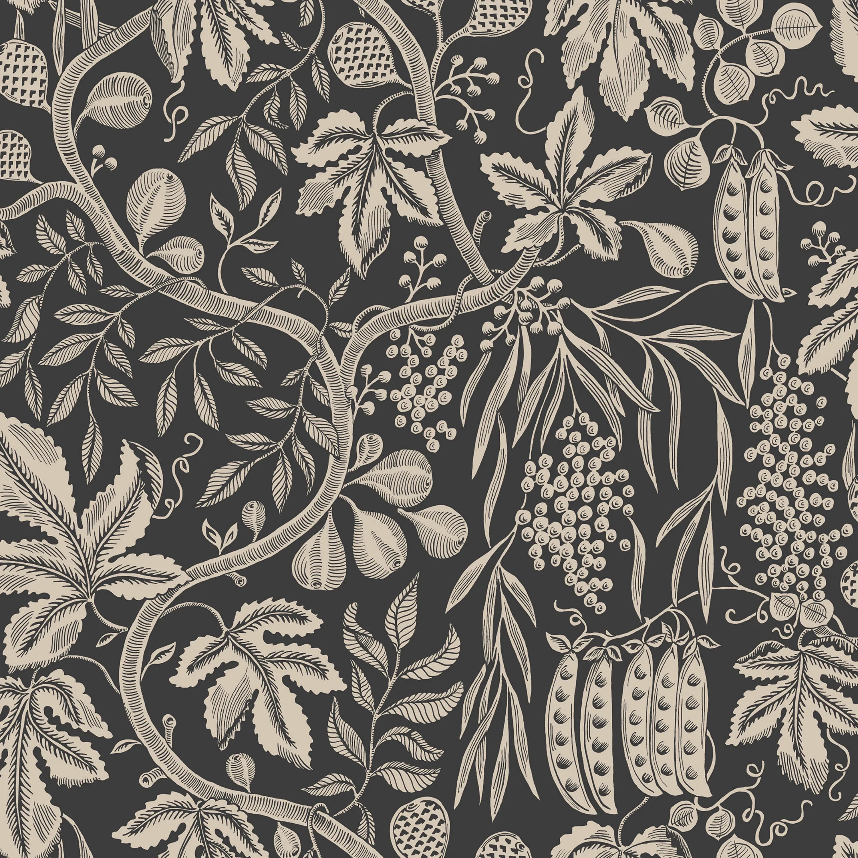 Sandberg Fig Garden in Charcoal wallpaper (S10257)