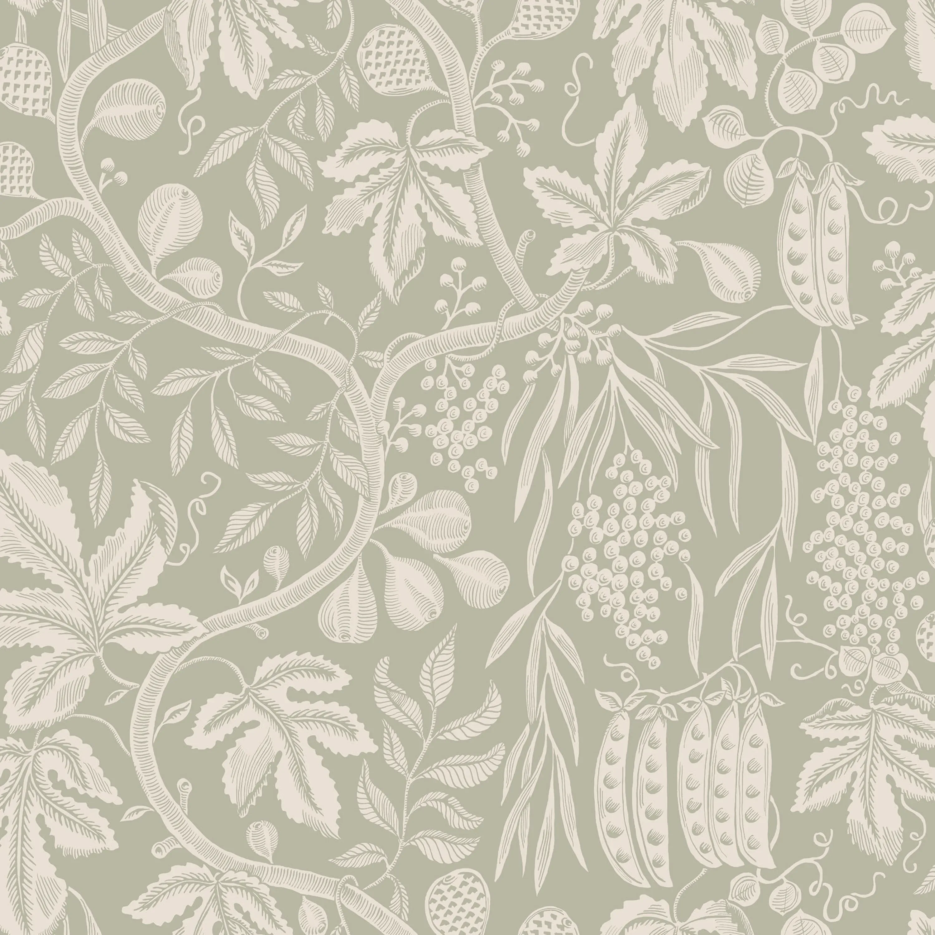 Sandberg Fig Garden in Garden Green wallpaper (S10259)