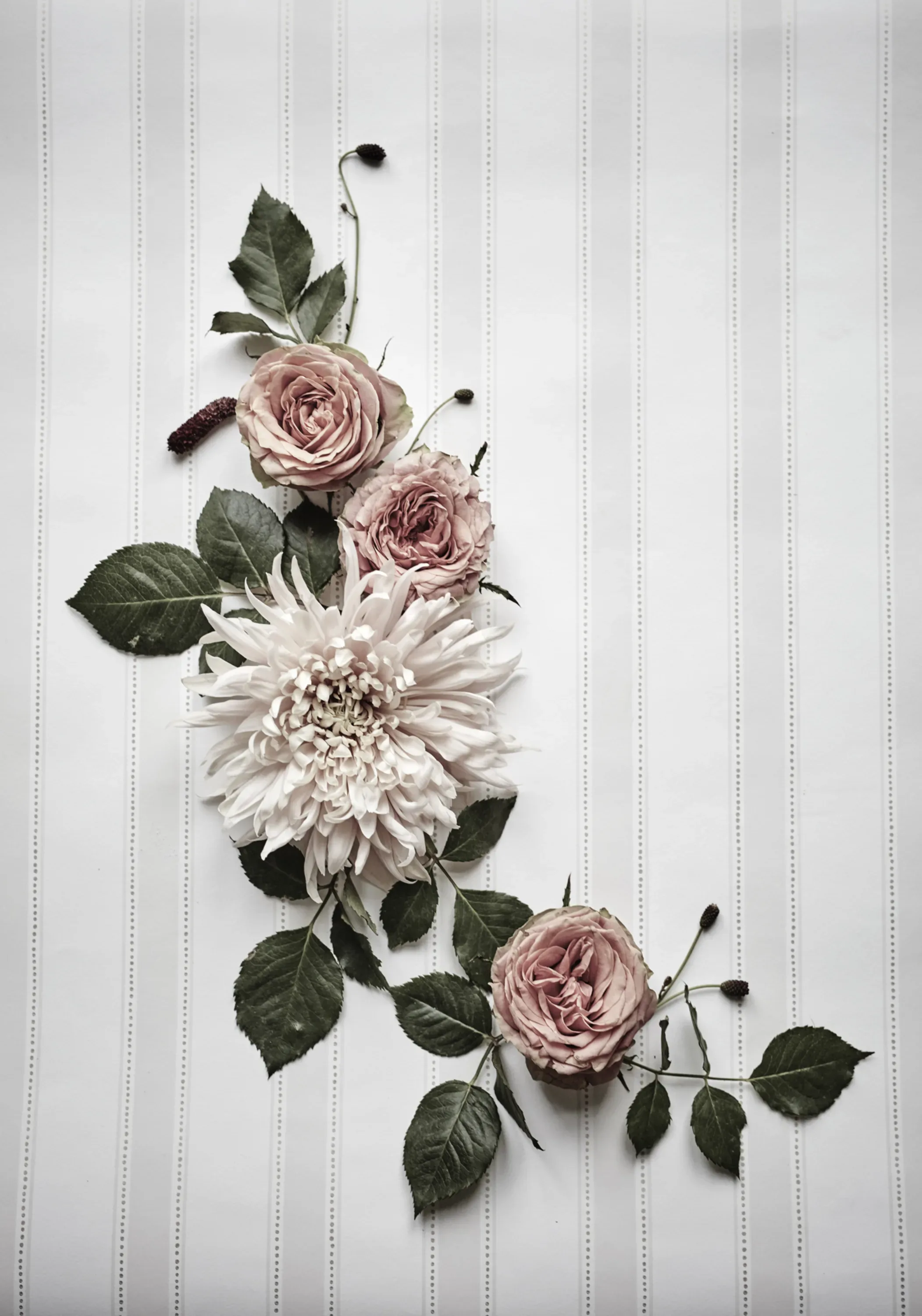Sandberg Gustav in Light Gray wallpaper (101-21)