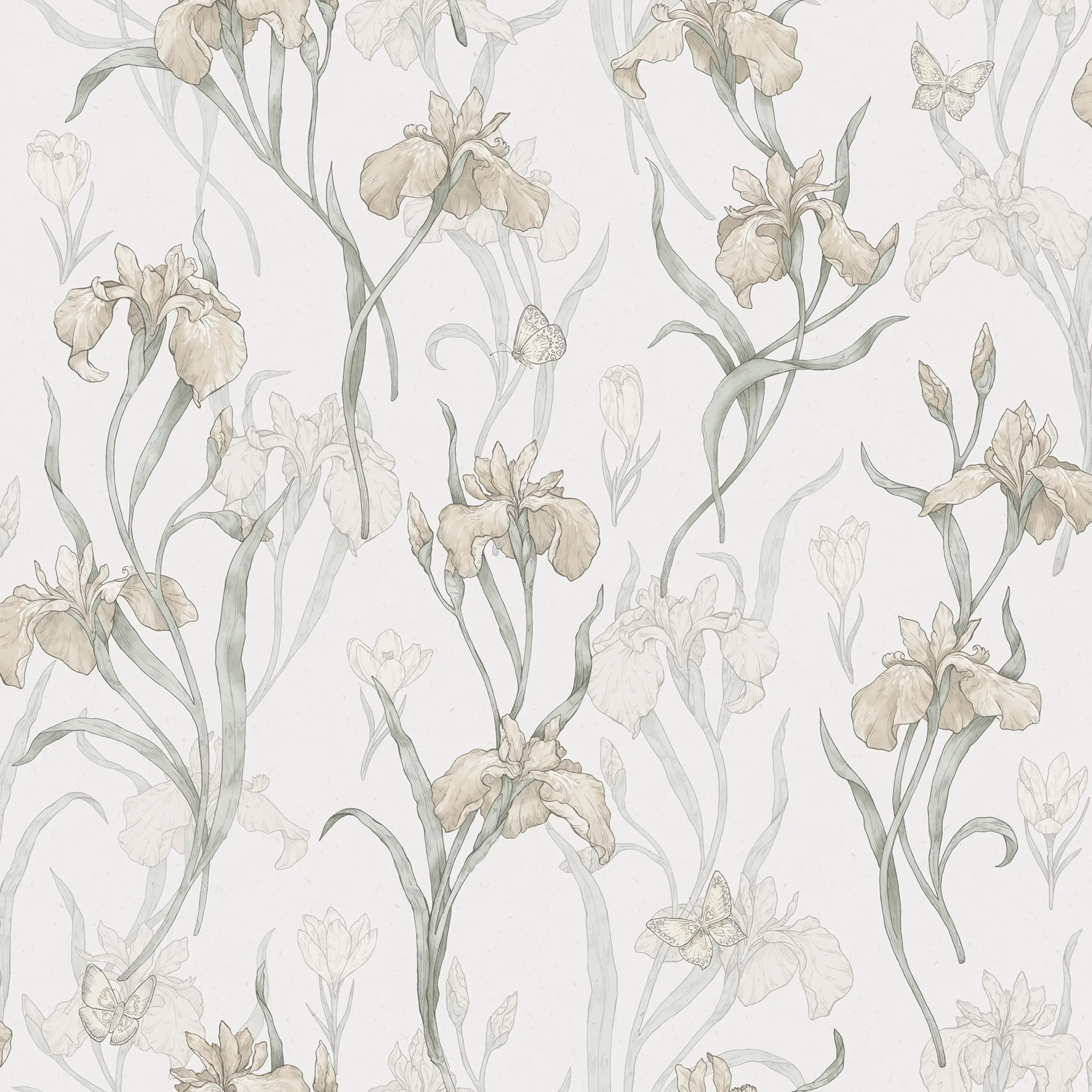 Sandberg Iris in Powder Pink wallpaper (S10135)