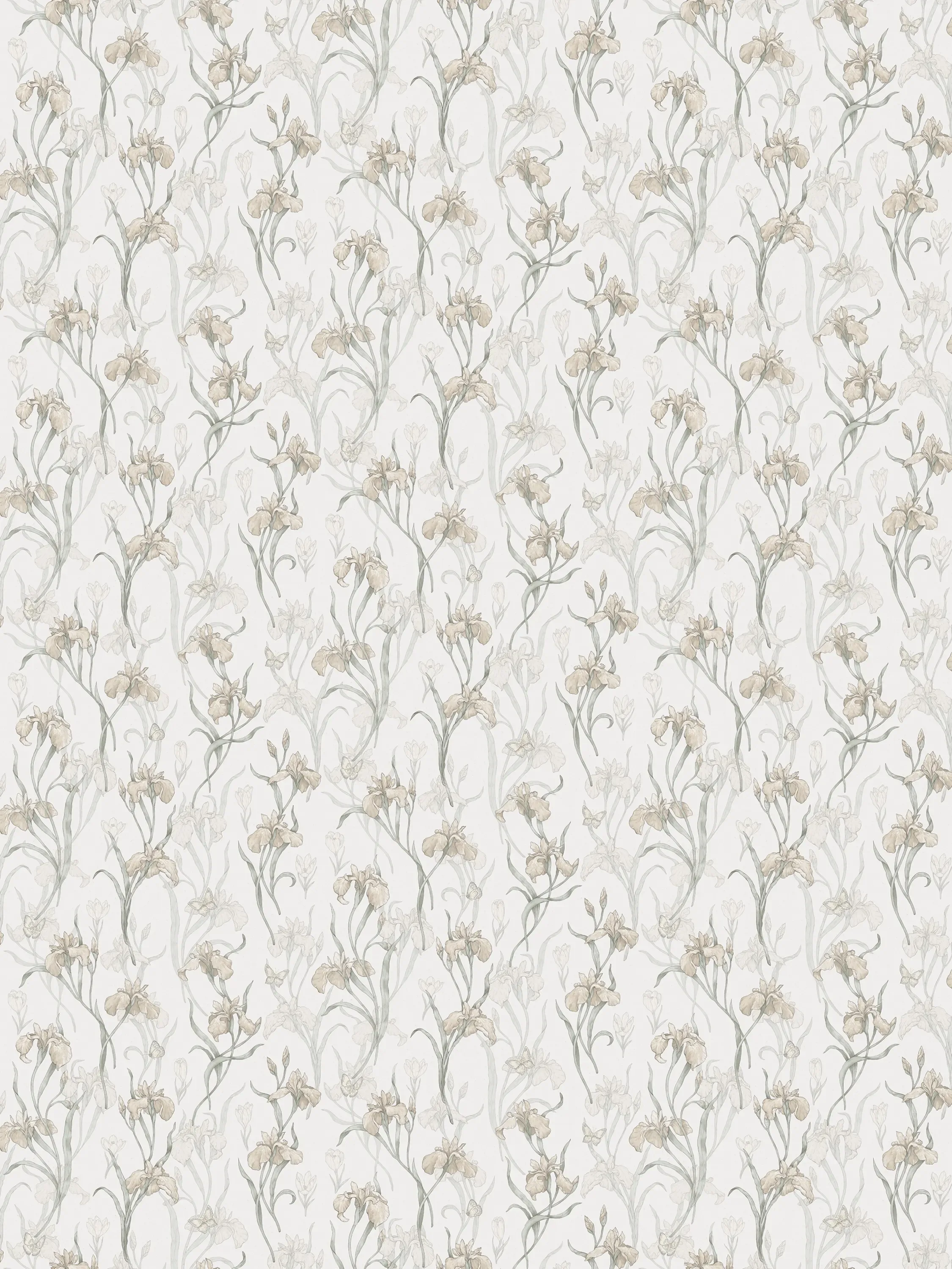 Sandberg Iris in Powder Pink wallpaper (S10135)