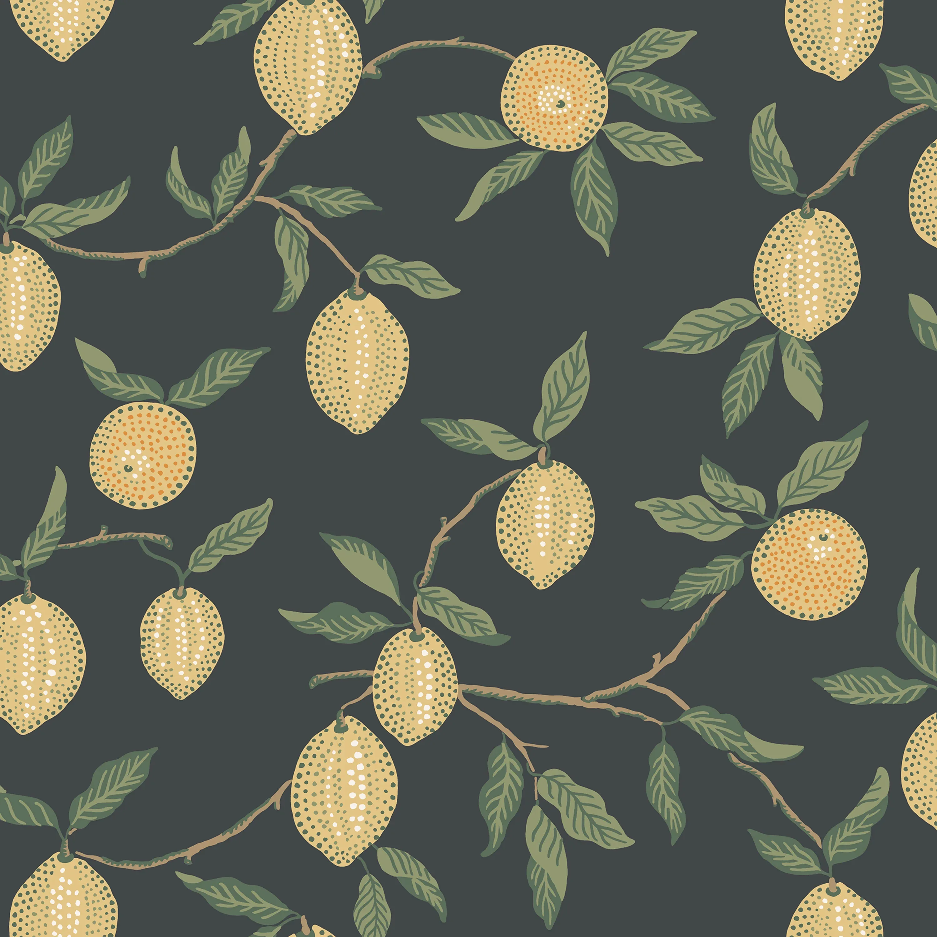 S10668 | Limone – Charcoal