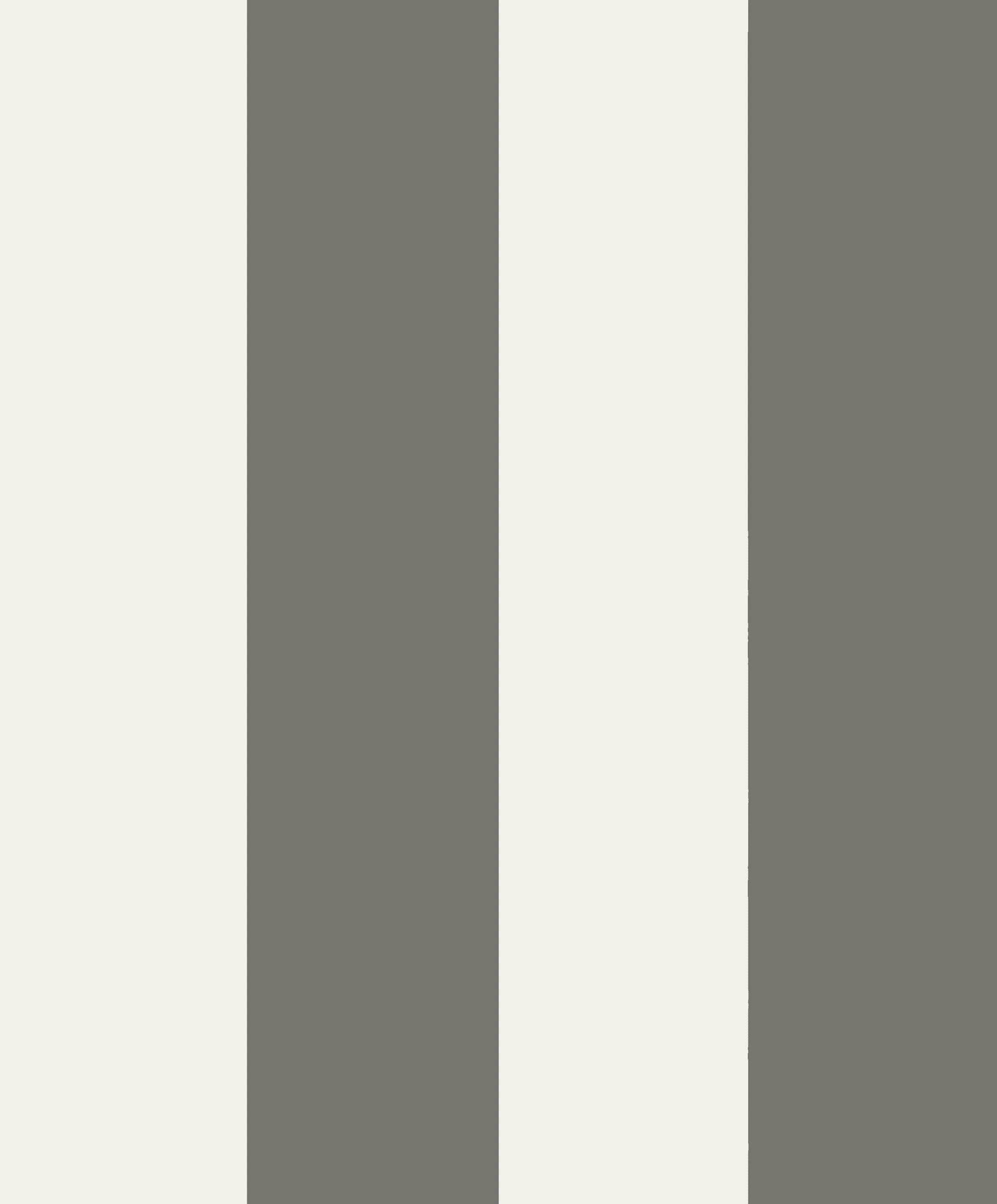 S10342 | Magnus – Dark Gray