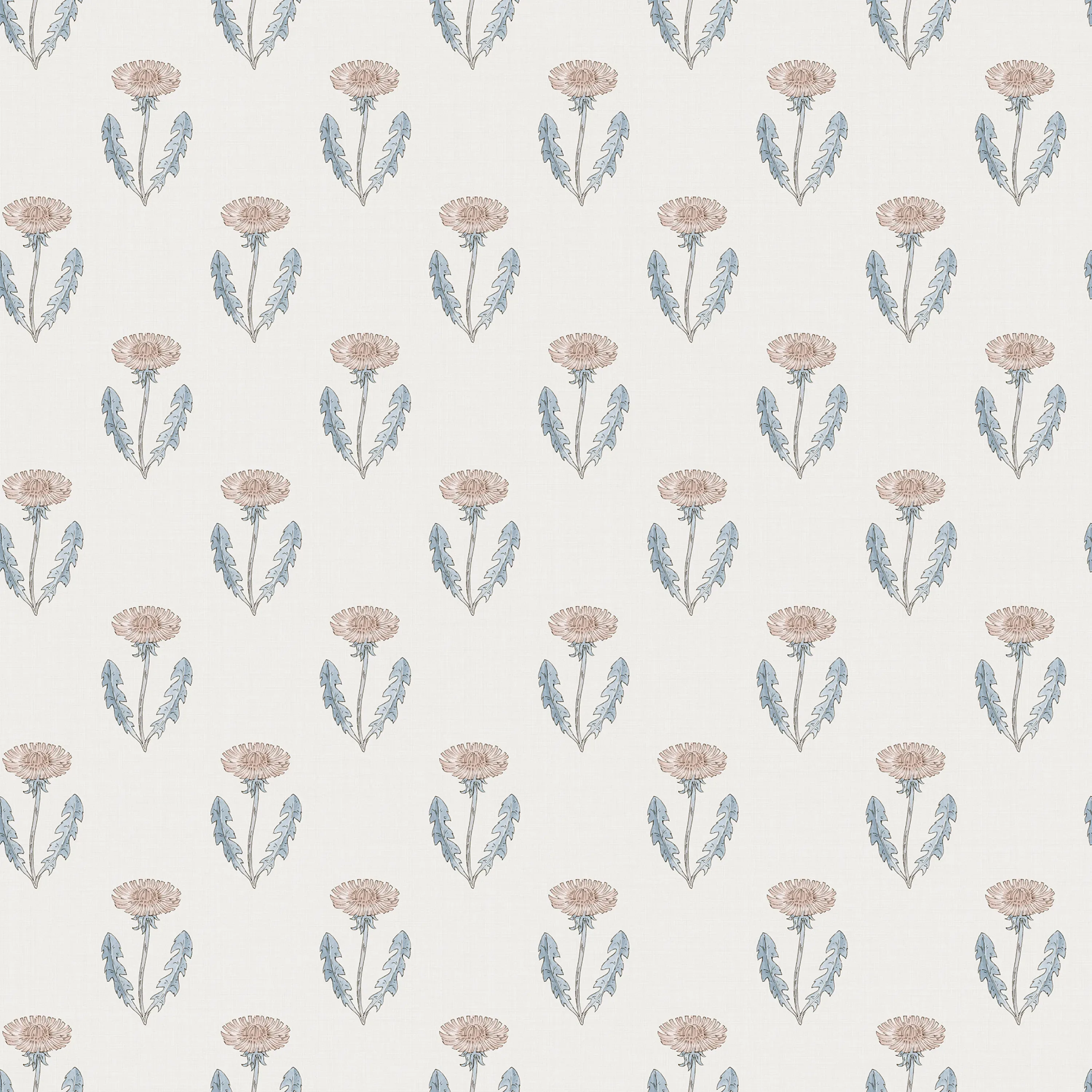 Sandberg Maskrosen in Pink wallpaper (S10139)