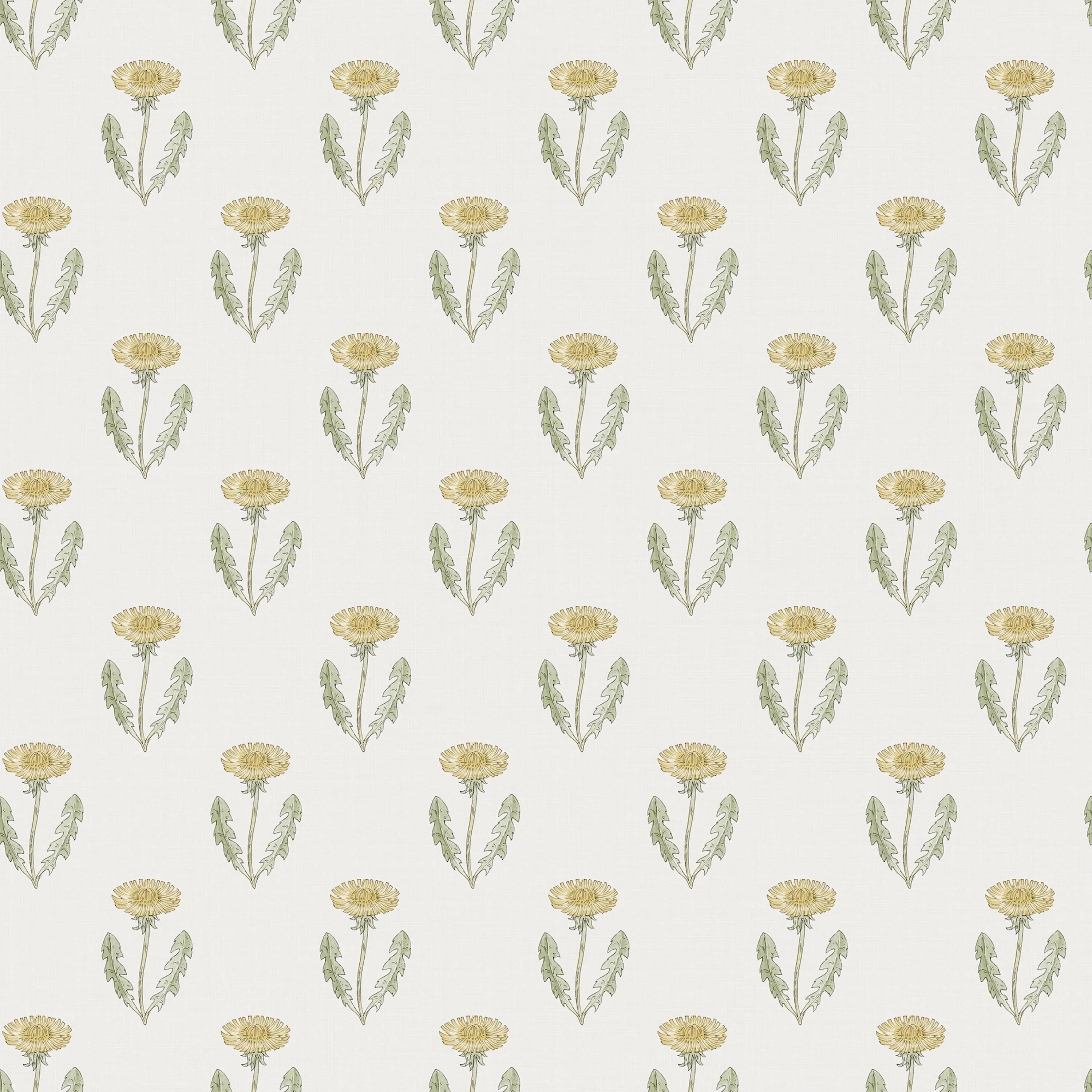 Sandberg Maskrosen in Spring Green wallpaper (S10137)