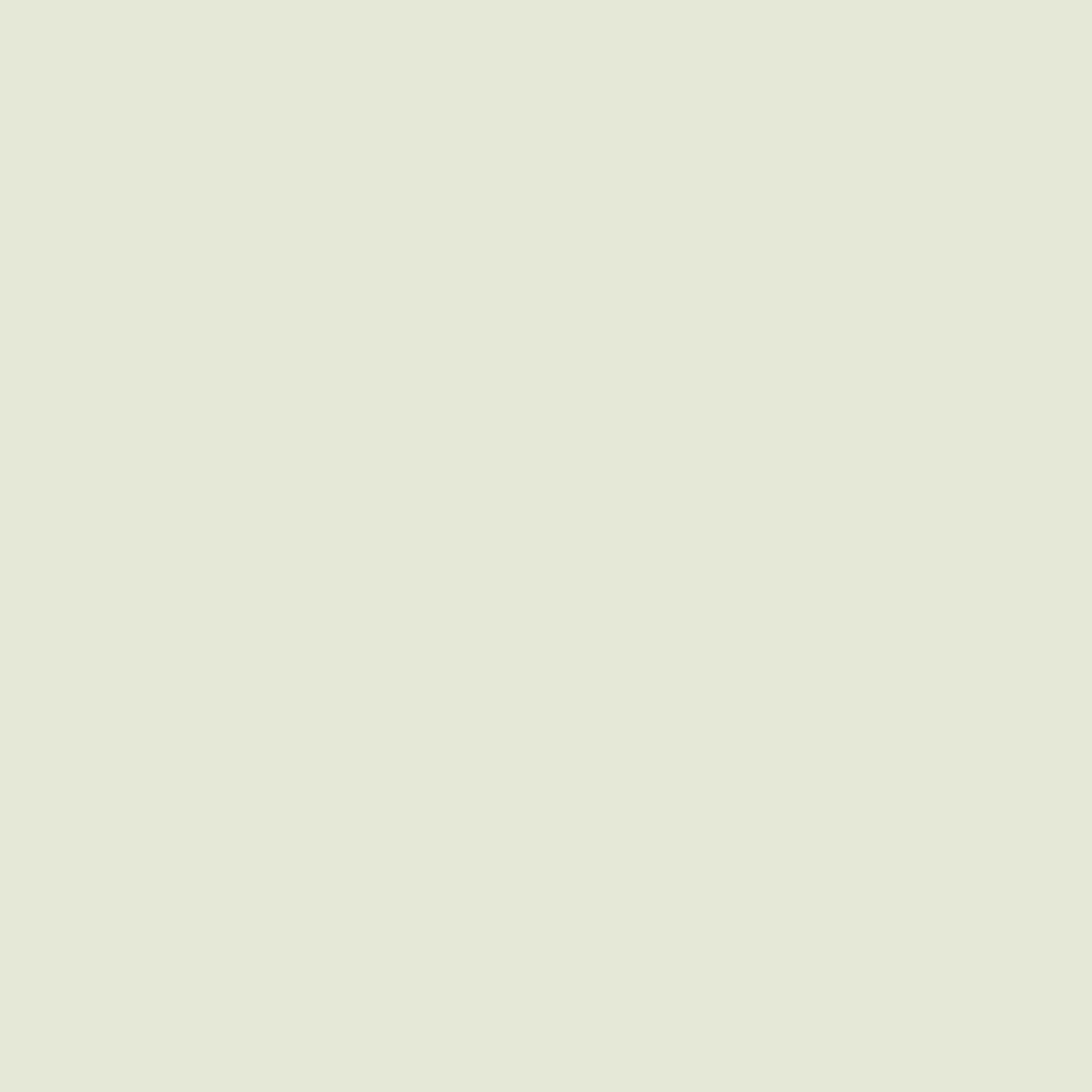 Sandberg Sten in Garden Green wallpaper (S10315)