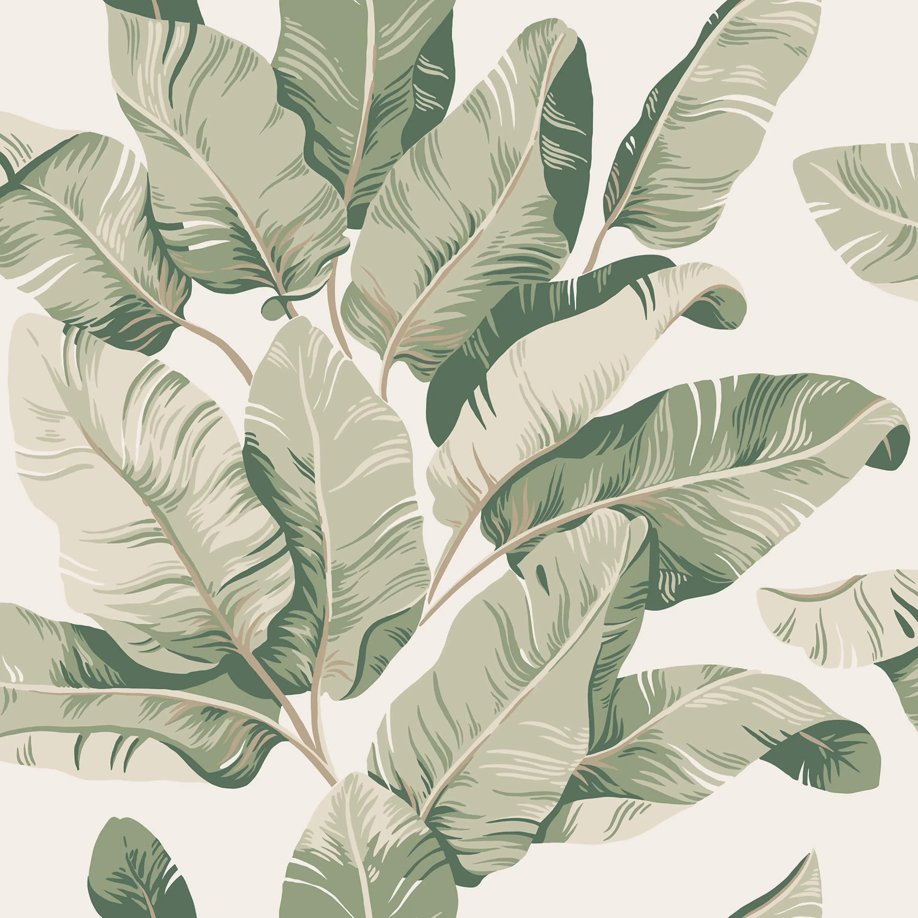 Sandberg Tom in Garden Green wallpaper (S10433)