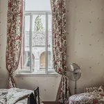 Butterflies wallpaper in Sandstone color