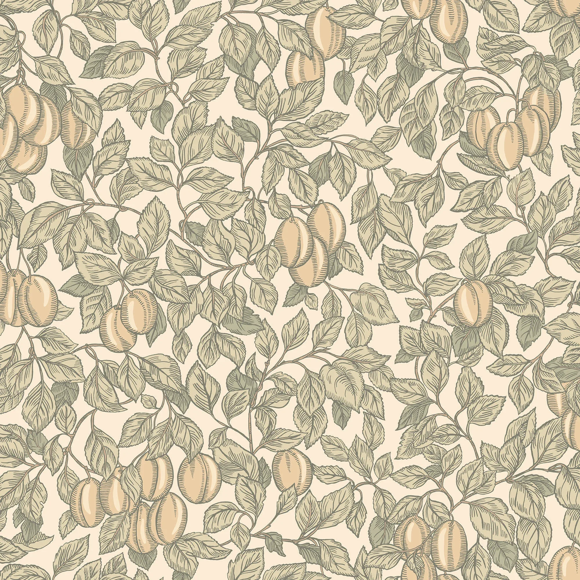 S10466 | Emrik – Oat