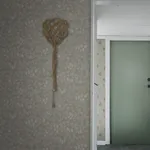 Emrik wallpaper in Sage Green color