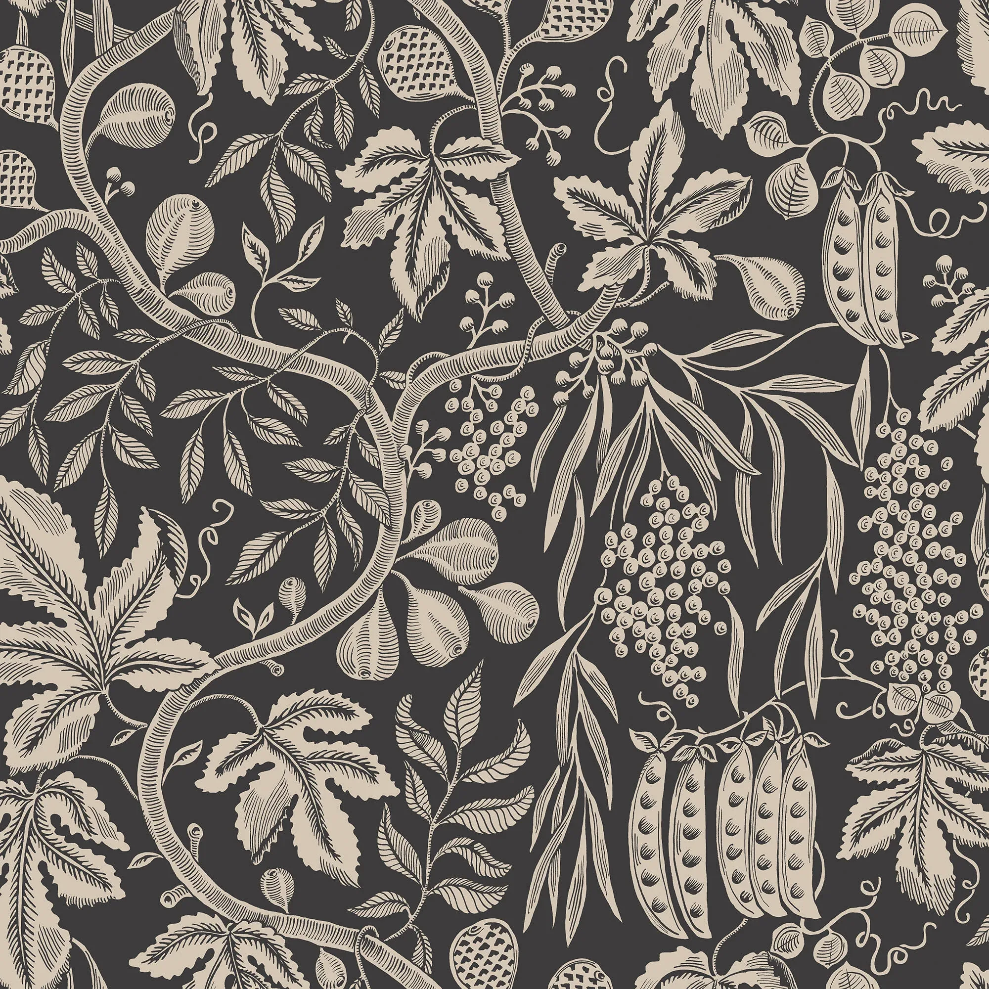 Fig Garden wallpaper in Charcoal color