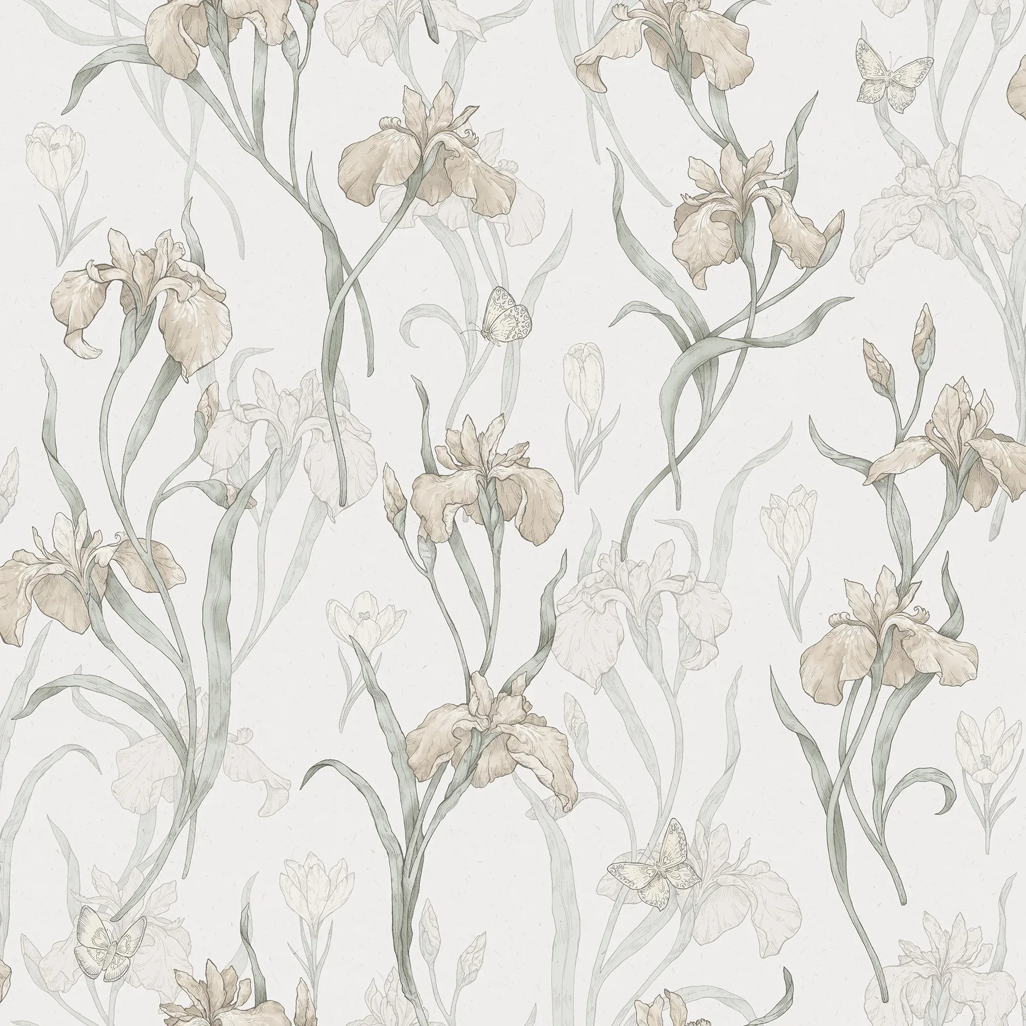 S10135 | Iris – Powder Pink