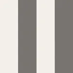 Magnus wallpaper in Dark Gray color