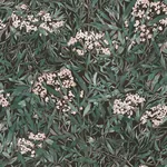 Malin wallpaper in Black color