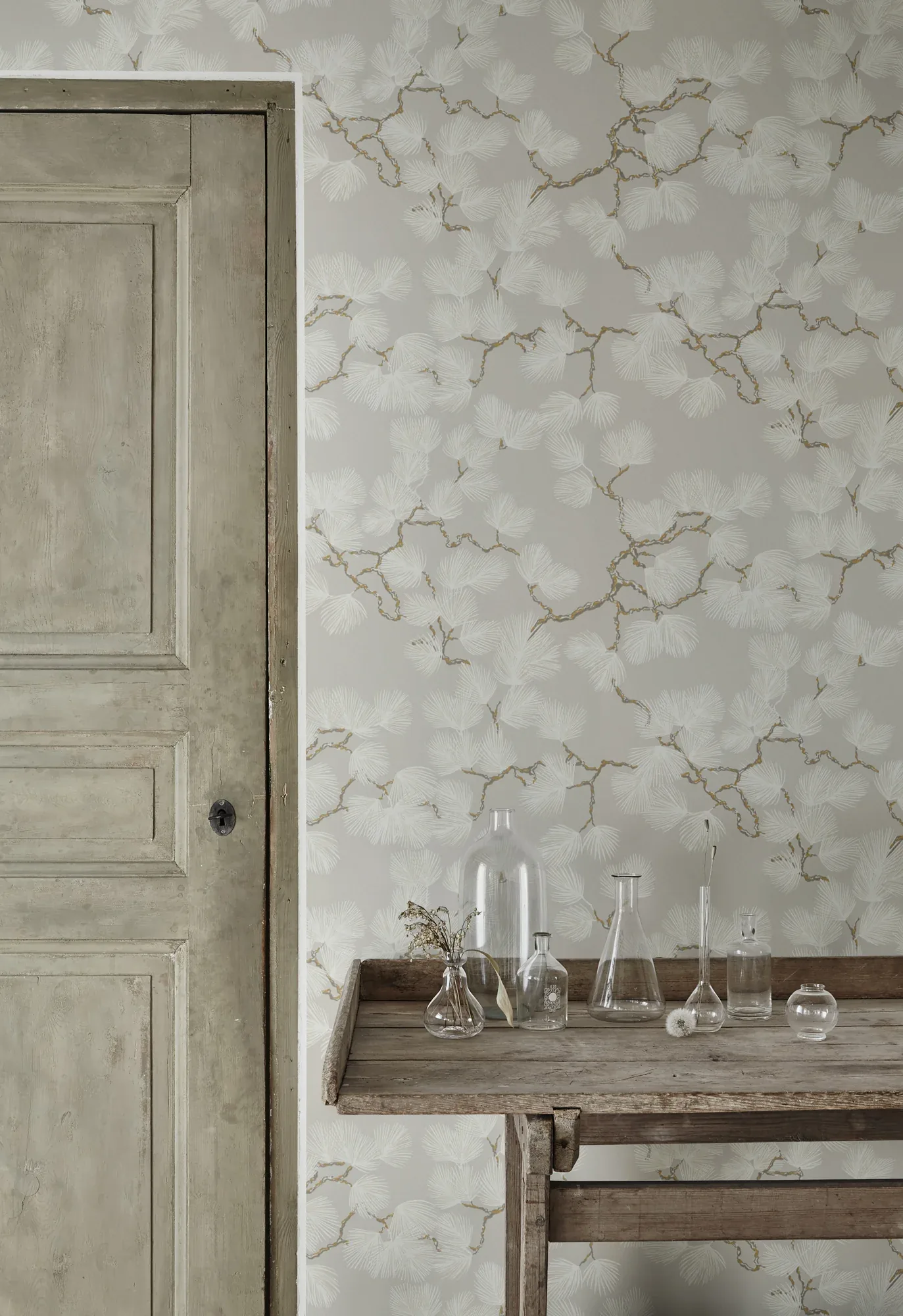 Pine wallpaper in Gray color