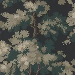 Raphael wallpaper in Charcoal color