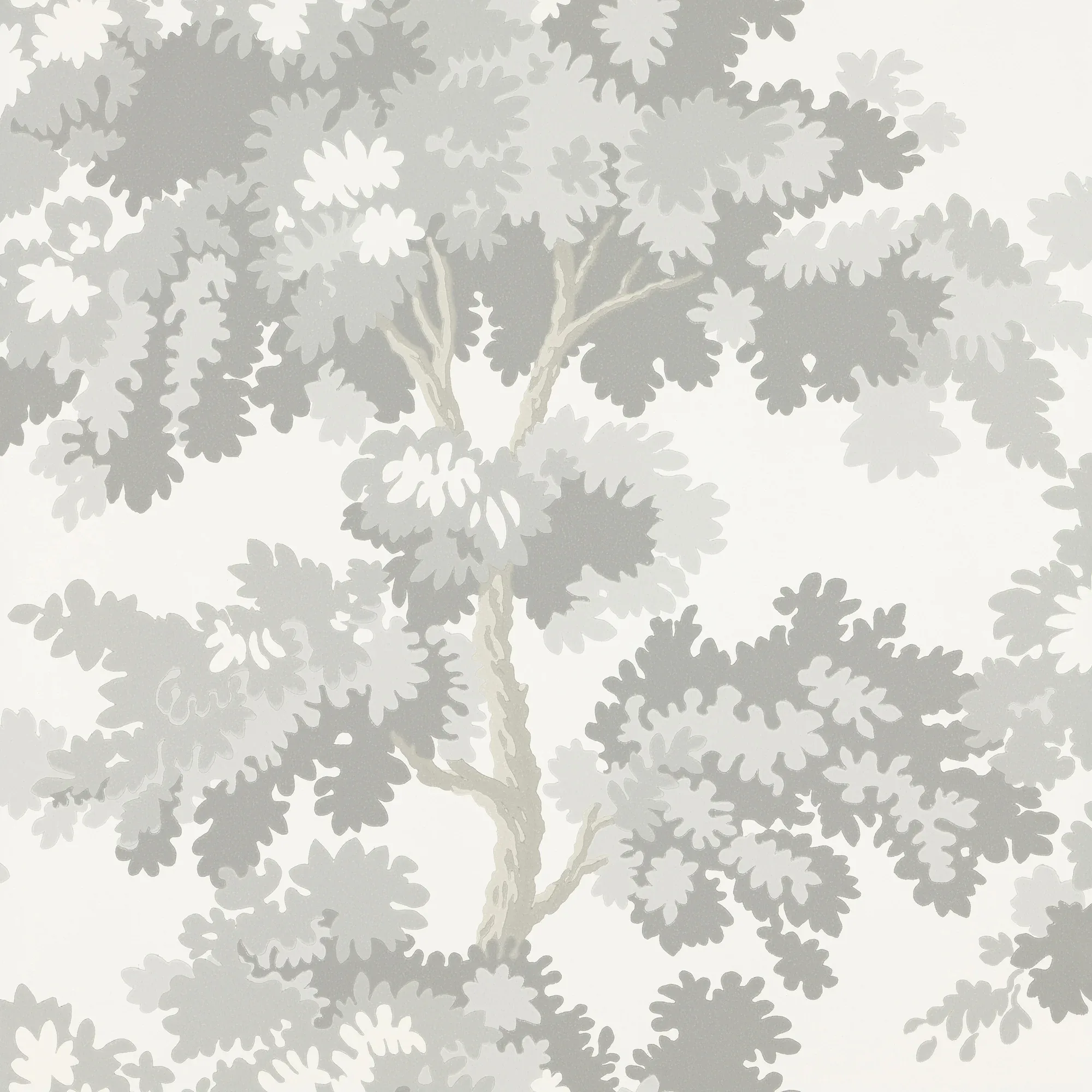 Raphael wallpaper in Gray color