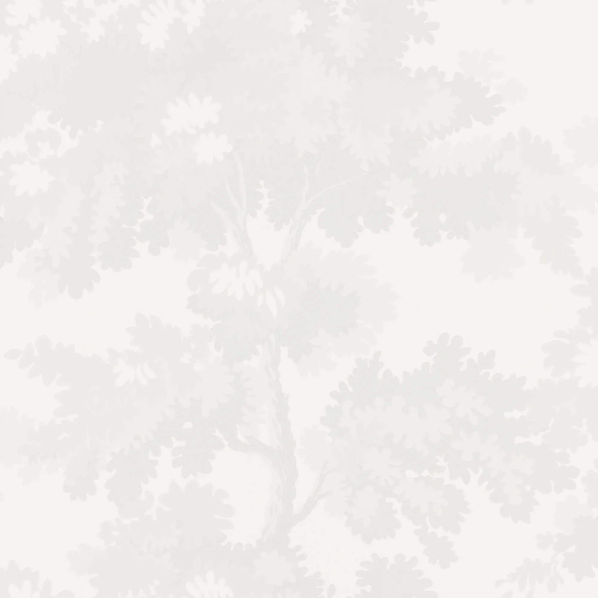Raphael wallpaper in White color