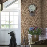 Valentin wallpaper in Ruby Red color