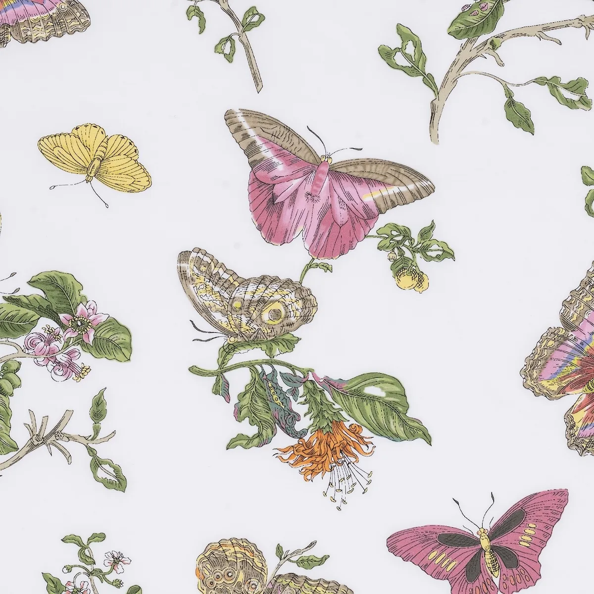 Schumacher Baudin Butterfly Flat Sheet in Pink