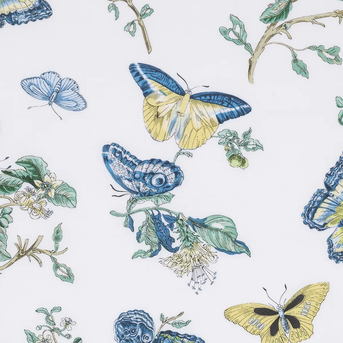 Schumacher Baudin Butterfly Shower Curtain in Prussian Blue (MSC055SHOP8)