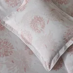Chrysanthemum Sham - Blush Schumacher Chrysanthemum Sham in Blush
