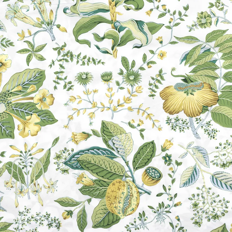 Schumacher Pomegranate Sham in Citrus