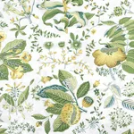 MSC006SHOCI | Pomegranate Shower Curtain - Citrus Schumacher Pomegranate Shower Curtain in Citrus (MSC006SHOCI)