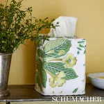 MSC006TBOXCI | Pomegranate Tissue Box Cover - Citrus Schumacher Pomegranate Tissue Box Cover in Citrus (MSC006TBOXCI)