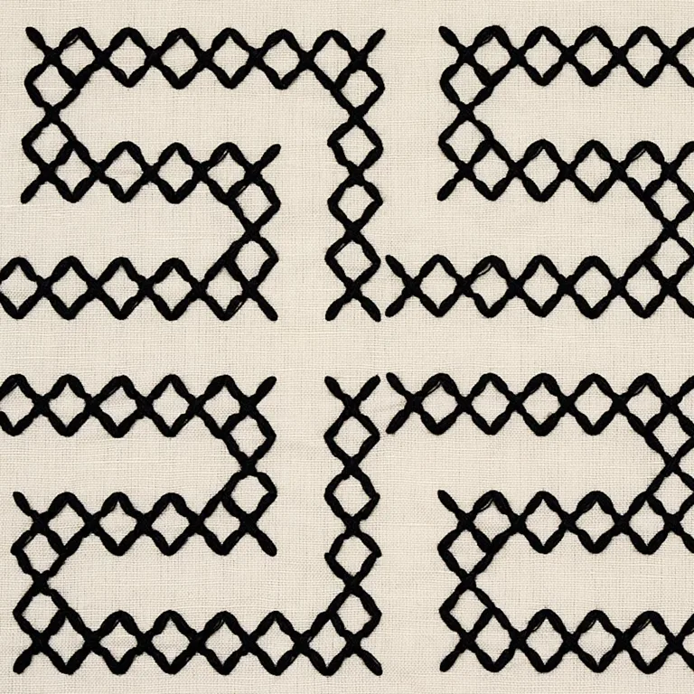 Schumacher 70230 A Maze Embroidery Black On Ivory fabric swatch