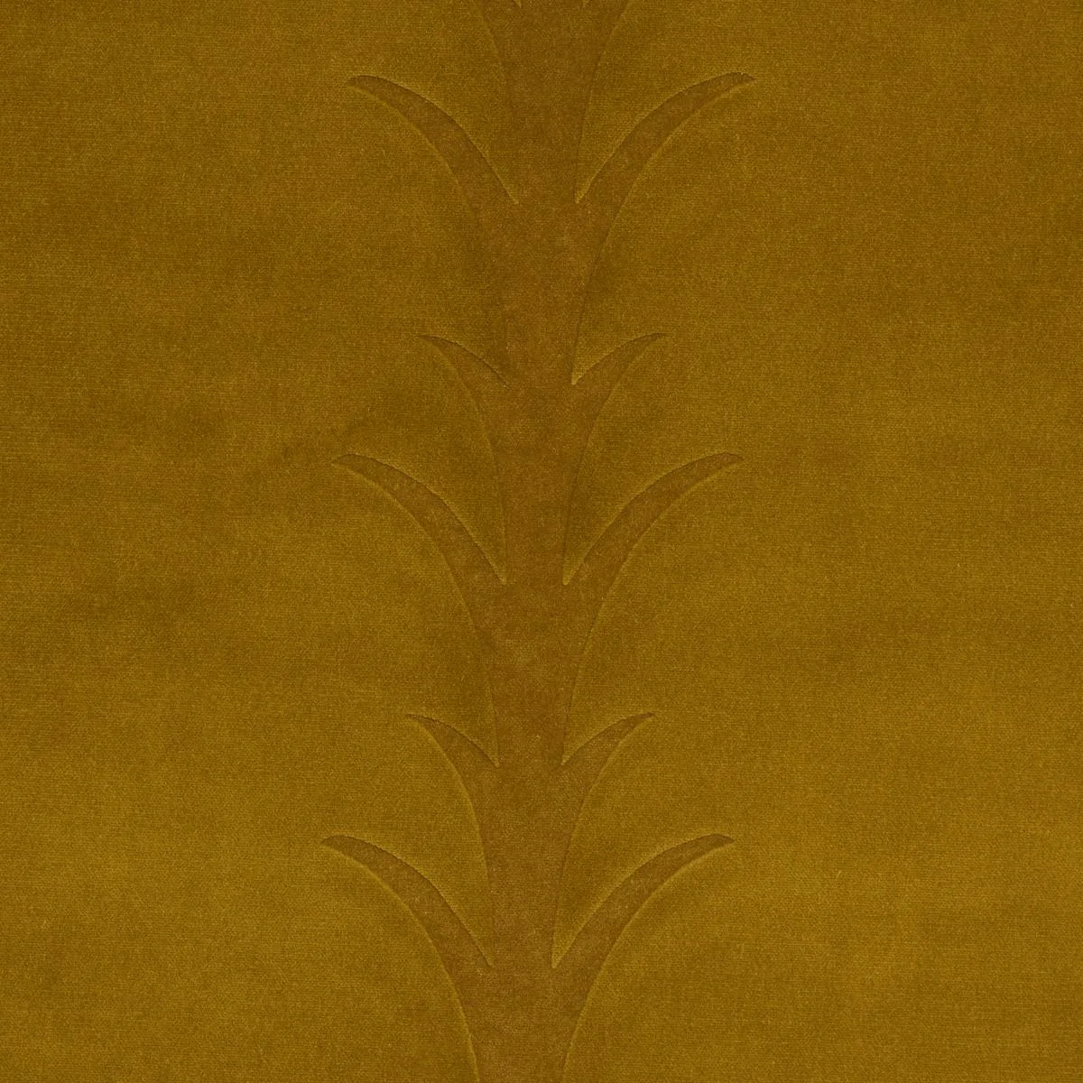 Schumacher 86451 Acanthus Stripe Velvet Olive fabric swatch